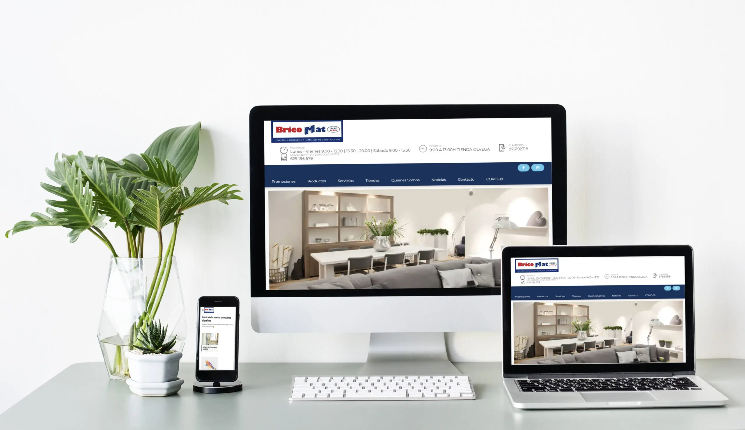 Desarrollo Web Empresa para Bricomat