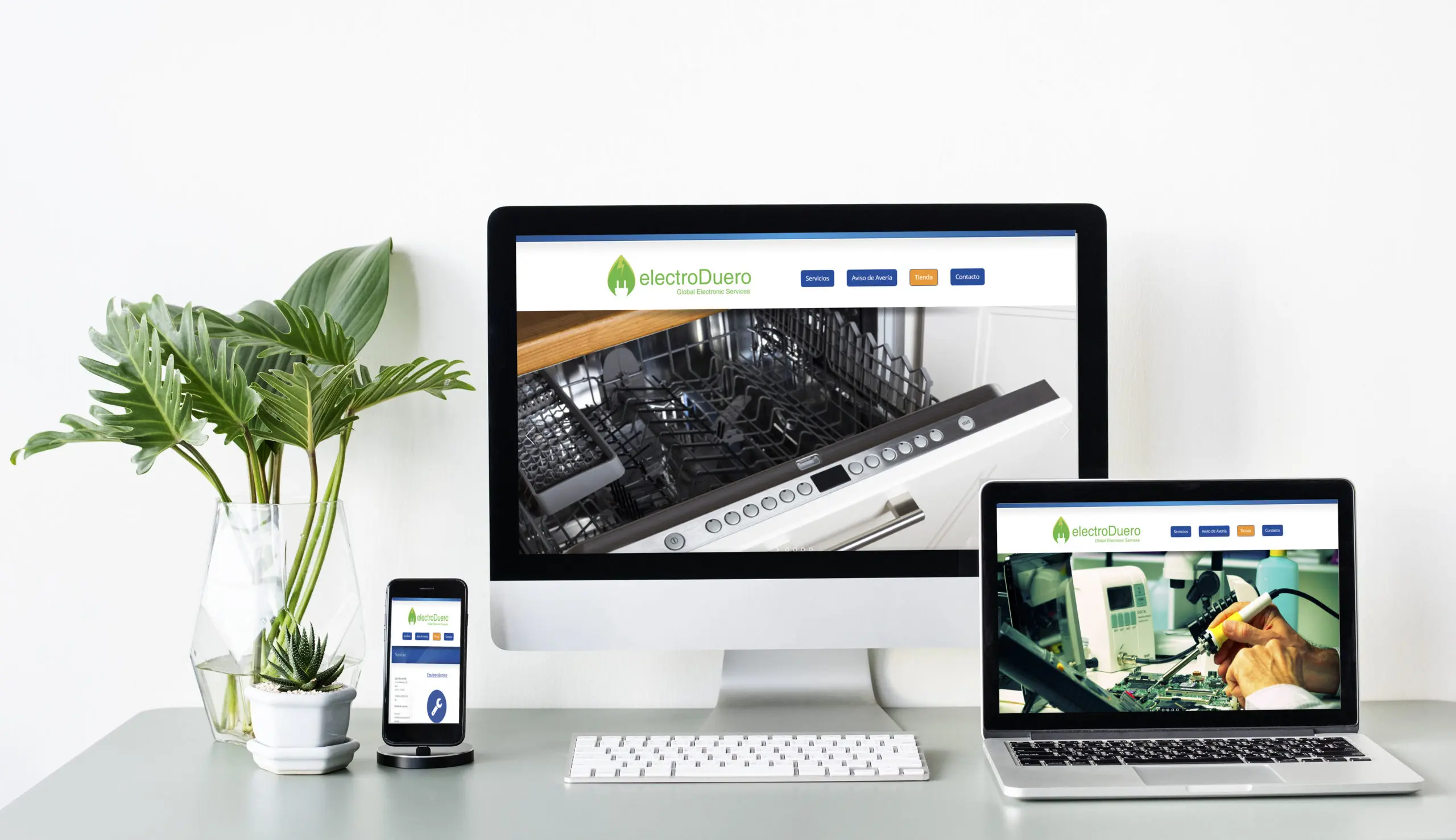 Desarrollo Web Empresa para Electroduero